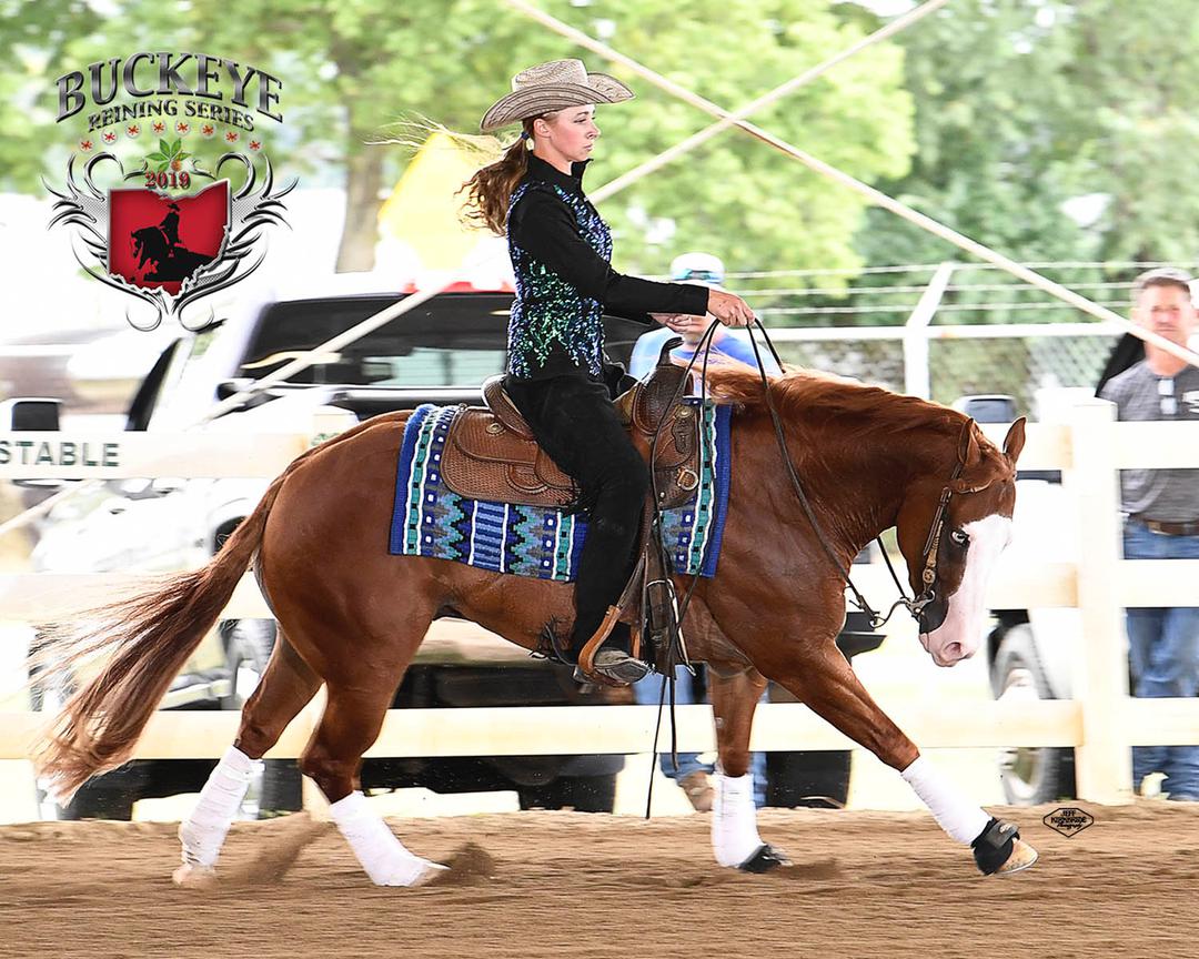 Sales Brant Performance Horses