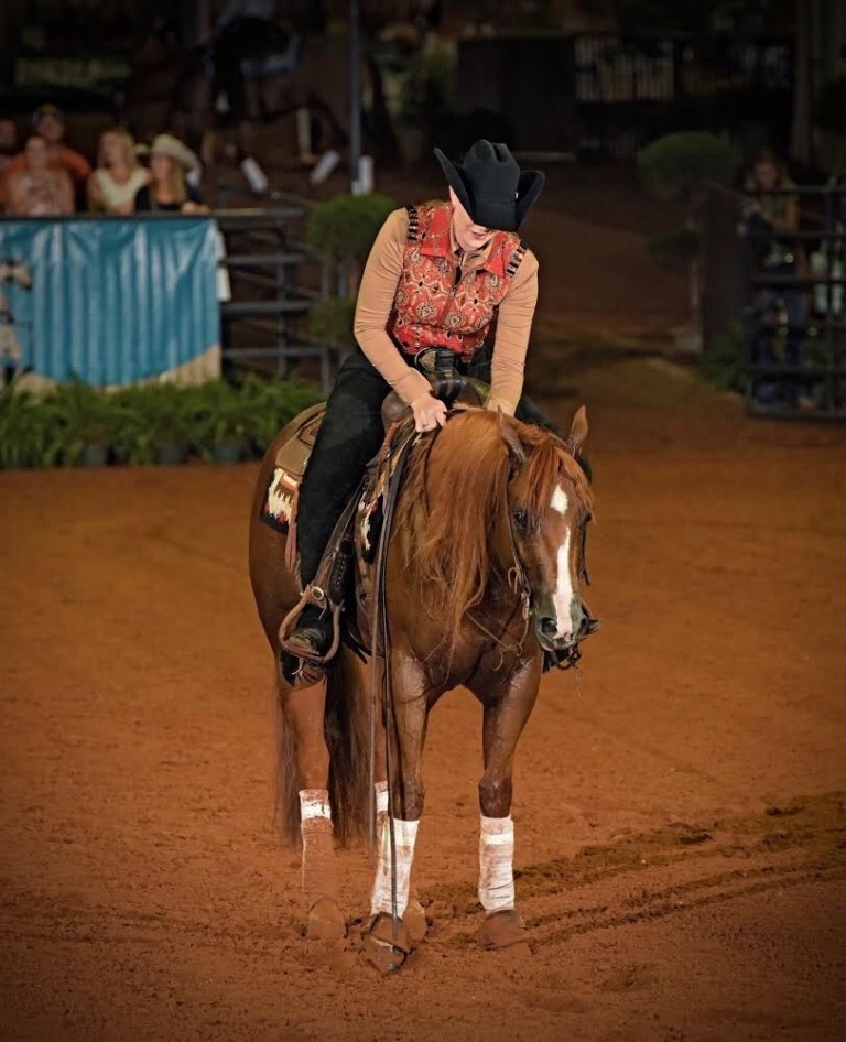 Sales Brant Performance Horses